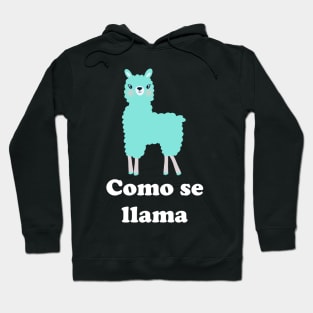 Como Se Llama Hoodie